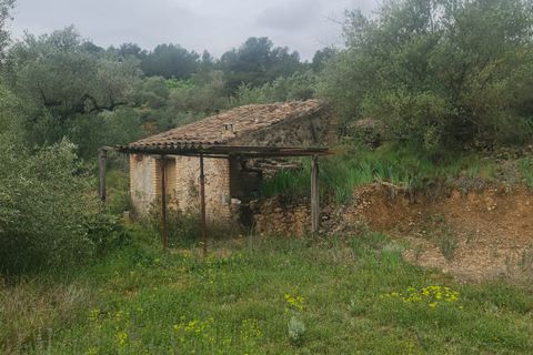 Ruïna a Mora D'ebre, Tarragona, Mora D'ebre - € 38.000 | Ref: 958 Lumoru - foto 11